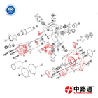 China-Lutong for B0SCH 0445 020 007 Diesel Fuel Pump 0 445 020 175 Common Rail Injection Oil Pump