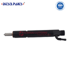 High Quality Diesel Fuel Injector 0432191825 471611 0432191753 864069 for cummins injector nozzle part numbers