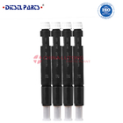 Top quality 04286251 fit for deutz diesel injectors NEW for Deutz 2011 Engine Injector stock availale D2011, BFL2011