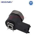 F00RJ02704China Made New Solenoid Valve for Fuel Injector0445120082 Solenoid Valve Assembly for Bosch Fuel Pump Solenoid