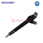 common rail diesel fuel injector 0 445 110 646 for nissan common rail injectors
