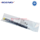 EJBR04101D Common Rail Injector Assy for  ejbr04101d delphi common rail injector
