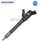 Common Rail Fuel Injector 0 445 110 859 Fuel Injector 0 445 110 859 For BOSOH