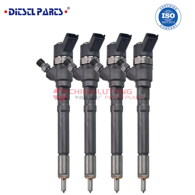 Common Rail Fuel Injector 0 445 110 859 Fuel Injector 0 445 110 859 For BOSOH