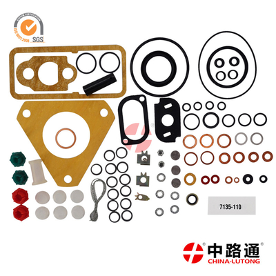 Buy 7135-110 DPA CAV Injector Pump Repair Kit Gasket Seal for Ford Massey Ferguson 3000 4000 7600  Lucas Delph