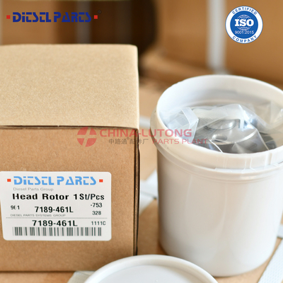 7189-461L Wholesale New Diesel Fuel Pump Head Rotor 7189-461L with Rotor 018L 3/7R Factory direct sale high quality diesel DPT pump head rotor 7189-461L 7189461L