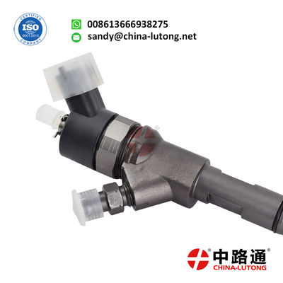 Common Rail Injector 0 445 110 351  Common Rail Fuel Injector 55219886 0445110351 For Fiat/Ford. 4X Fuel Injector fits For Hyundai Terracan KIA Carnival Sedona 33800-4X800