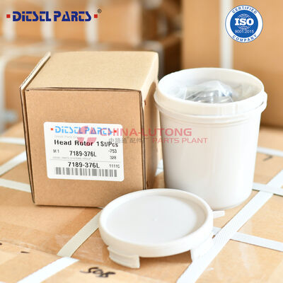 Hydraulic Head 7189-376L factory Price Diesel Fuel Pump Hydraulic DPA Head Rotor 7189-376L wholesale price