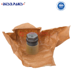 Injector Pump Pressure Relief Valve 1 110 010 017 for denso fuel rail pressure relief valve