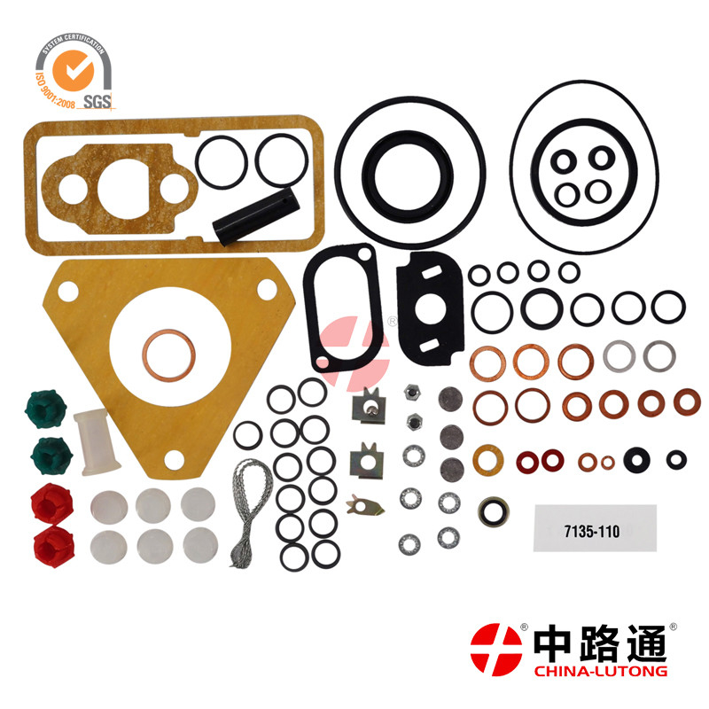 Buy 7135-110 DPA CAV Injector Pump Repair Kit Gasket Seal for Ford Massey Ferguson 3000 4000 7600  Lucas Delph
