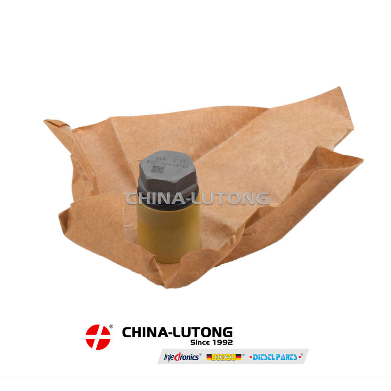 high quality pressure limiting valve PLV 1 110 010 018 Pressure Relief Valve common rail system 1 110 010 018 wholesale price