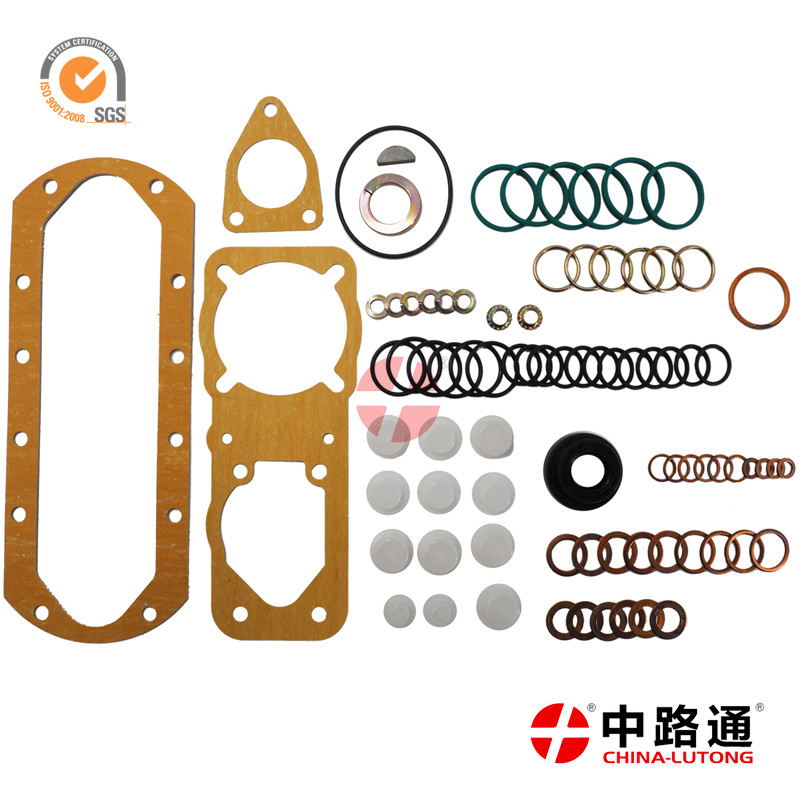 Diesel Injection Pumps Seal Repair Kits 2 417 010 001 P3000 for SIEMENS PDE REPAIR KITS