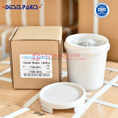 7189-461L Wholesale New Diesel Fuel Pump Head Rotor 7189-461L with Rotor 018L 3/7R Factory direct sale high quality diesel DPT pump head rotor 7189-461L 7189461L