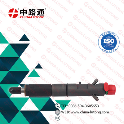 diesel fuel injector manufacturers 2645K016 for Renault Injector manufacturers